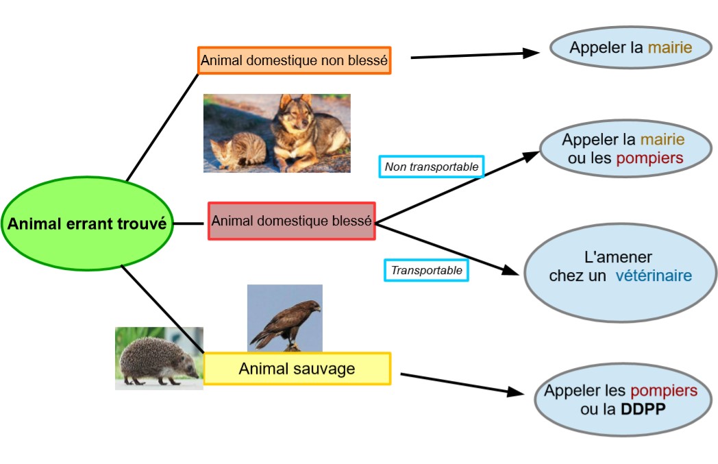 Vous avez trouvé un animal errant ? 